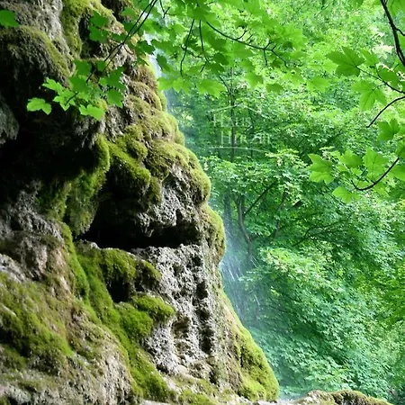 Haus Hirzel * باد أوراش